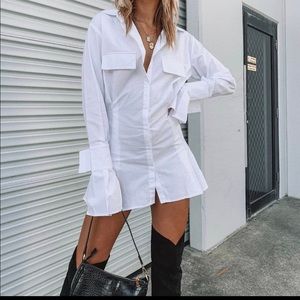 Lioness Shirt Dress